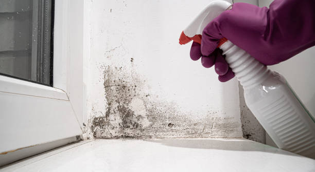 Best 24-hour water damage restoration  in Liverpool, NY